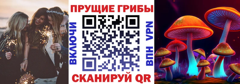 Галлюциногенные грибы Magic Shrooms ОМГ ОМГ онион Тетюши